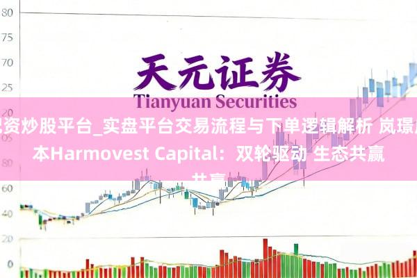 配资炒股平台_实盘平台交易流程与下单逻辑解析 岚璟成本Harmovest Capital:双轮驱动 生态共赢
